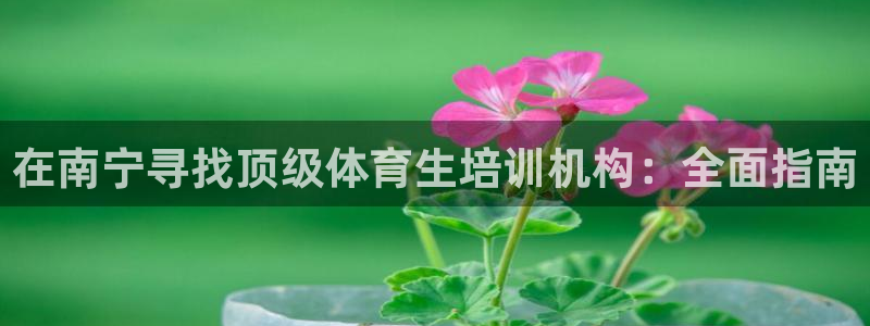焦点娱乐是哪个公司的软件：在南宁寻找顶级体育生培训机