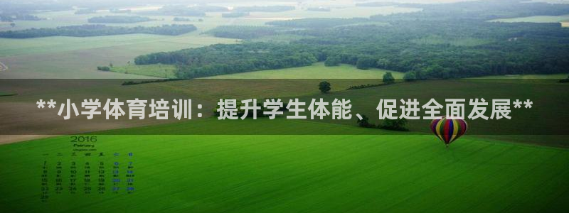 焦点娱乐平台注册账号是什么样的：**小学体育培训：提