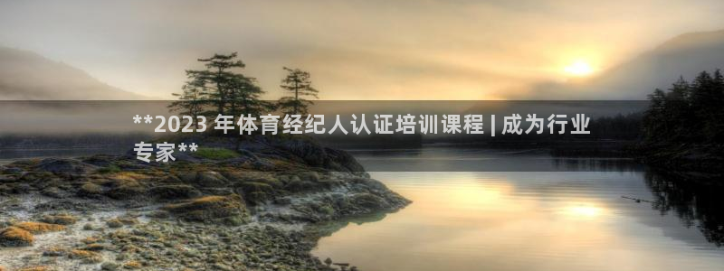 焦点娱乐app下载官网苹果：**2023 年体育经纪