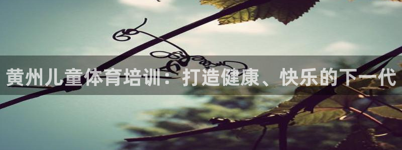 焦点娱乐平台注册账号是什么意思：黄州儿童体育培训：打