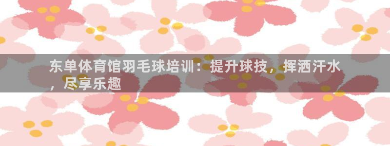 焦点娱乐平台：东单体育馆羽毛球培训：提升球技，挥洒汗