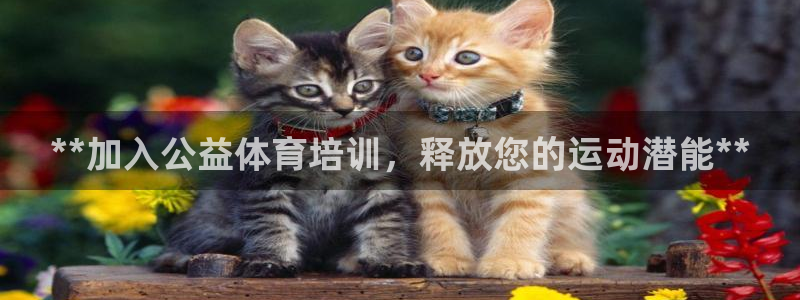 焦点娱乐官网下载安装最新版手机：**加入公益体育培训