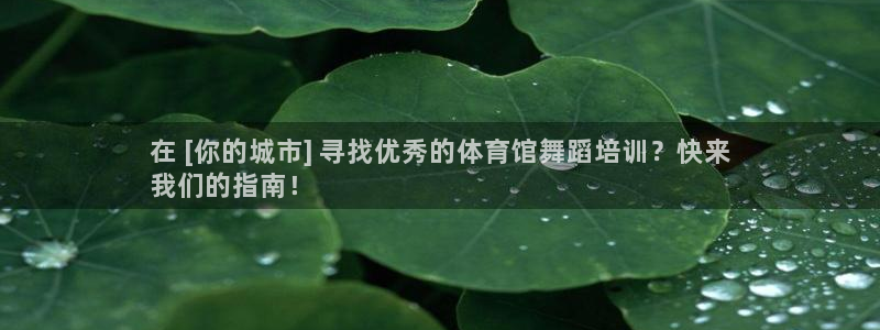 焦点娱乐传媒有限公司官网：在 [你的城市] 寻找优秀
