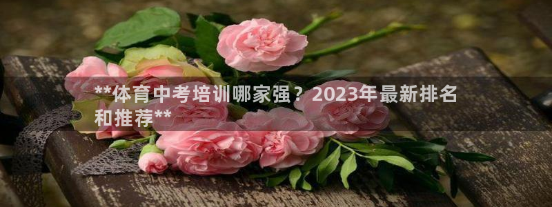 焦点娱乐开发：**体育中考培训哪家强？2023年最新