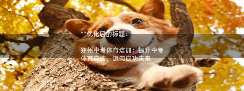 焦点娱乐总代理：**优化后的标题：**

郑州中考体