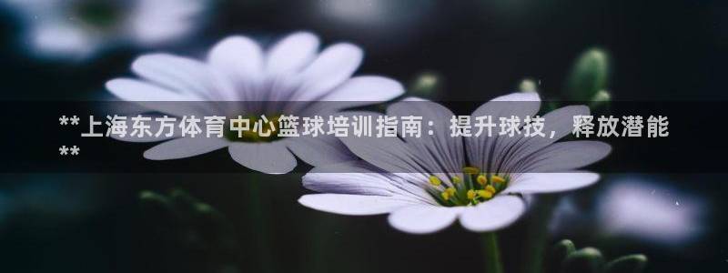 焦点娱乐app下载官网：**上海东方体育中心篮球培训
