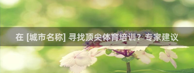 焦点娱乐游戏：在 [城市名称] 寻找顶尖体育培训？专