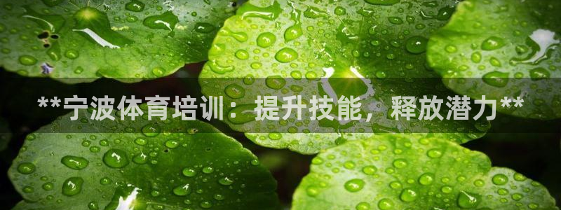 焦点娱乐传媒有限公司怎么样呀：**宁波体育培训：提升