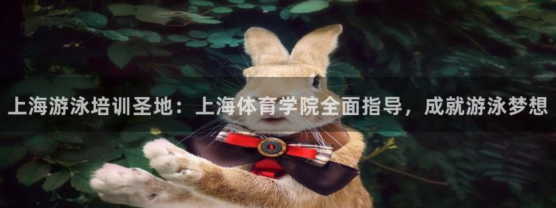 焦点娱乐传媒有限公司怎么样啊赚钱吗：上海游泳培训圣地