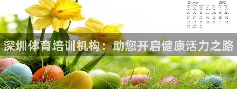 焦点平台娱乐：深圳体育培训机构：助您开启健康活力之路