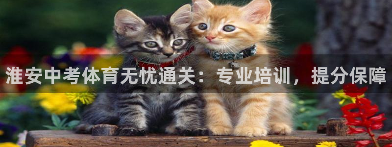 焦点娱乐传媒有限公司招聘电话：淮安中考体育无忧通关：