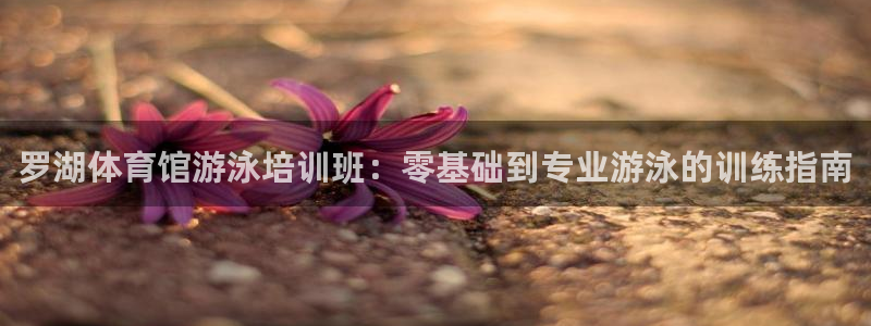 焦点娱乐游戏怎么玩教程：罗湖体育馆游泳培训班：零基础