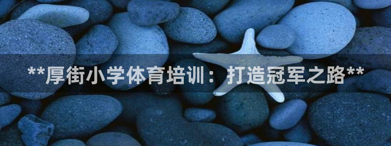 焦点娱乐是哪个公司的品牌：**厚街小学体育培训：打造