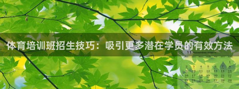 焦点娱乐拉菲：体育培训班招生技巧：吸引更多潜在学员的