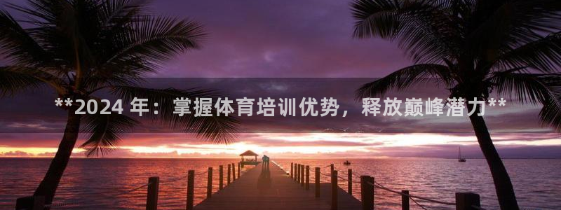 焦点娱乐传媒有限公司是干嘛的啊：**2024 年：掌