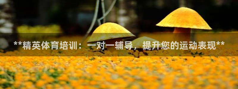焦点娱乐游戏攻略：**精英体育培训：一对一辅导，提升