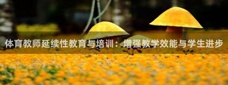 焦点娱乐平台客服电话号码查询：体育教师延续性教育与培