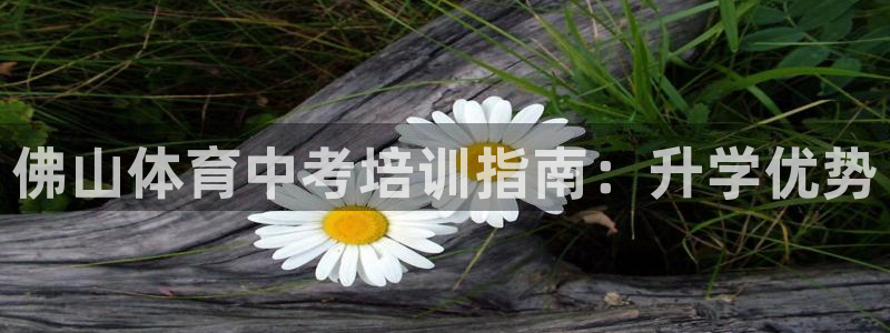焦点娱乐星的视频：佛山体育中考培训指南：升学优势