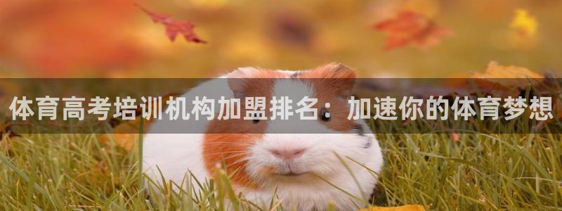 焦点娱乐传媒有限公司怎么样啊知乎：体育高考培训机构加