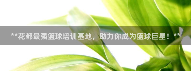 焦点娱乐怎么找导师：**花都最强篮球培训基地，助力你