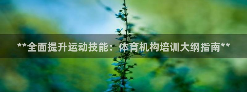 焦点娱乐跨服怎么玩：**全面提升运动技能：体育机构培