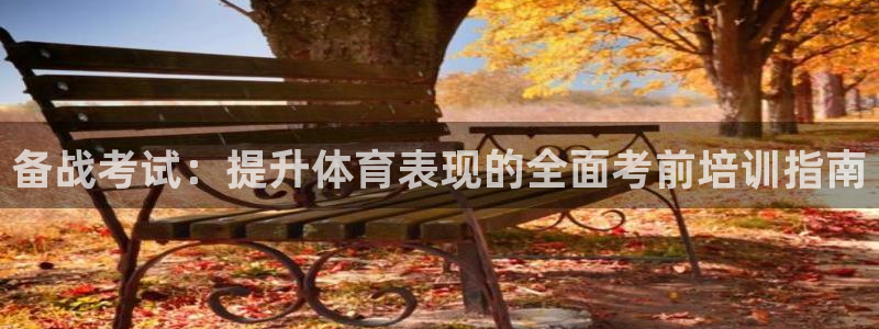 焦点娱乐官网首页入口下载：备战考试：提升体育表现的全