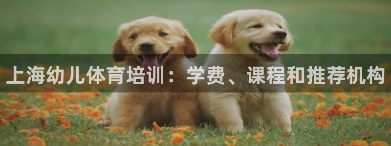 焦点娱乐平台西7O777：上海幼儿体育培训：学费、课