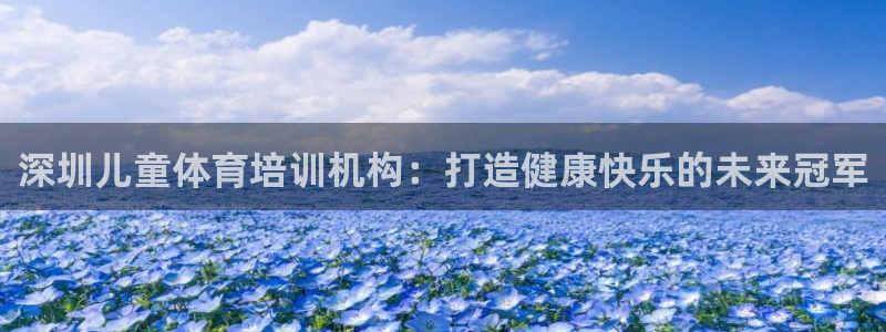 焦点娱乐股东是谁：深圳儿童体育培训机构：打造健康快乐