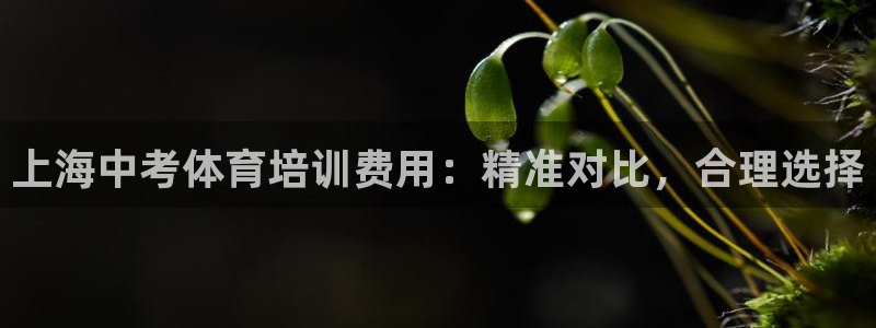 焦点娱乐平台底7O777：上海中考体育培训费用：精准