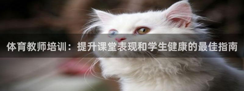 焦点娱乐官方网站首页：体育教师培训：提升课堂表现和学
