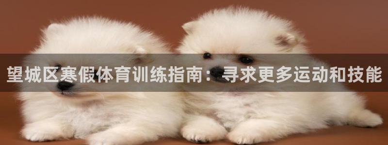 焦点娱乐无法提现怎么回事：望城区寒假体育训练指南：寻