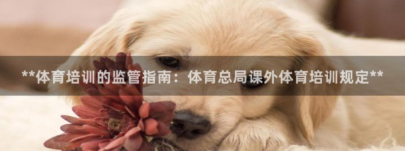 焦点娱乐如何注册账号和密码呢：**体育培训的监管指南