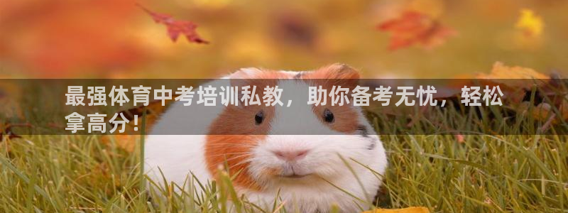 焦点娱乐说说句子：最强体育中考培训私教，助你备考无忧