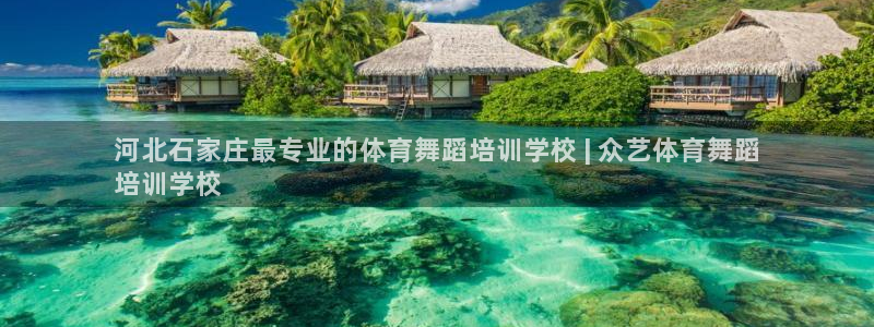 焦点娱乐平台章7O777：河北石家庄最专业的体育舞蹈