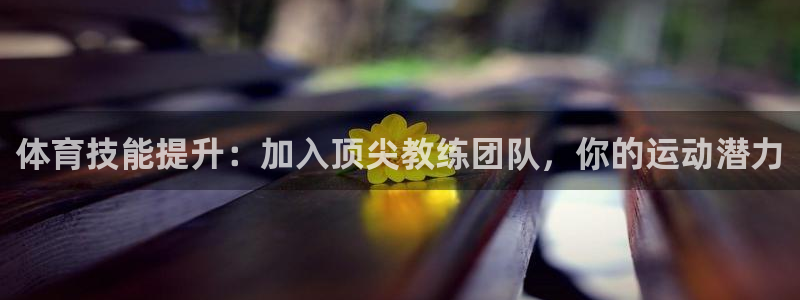 焦点娱乐股东是谁：体育技能提升：加入顶尖教练团队，你