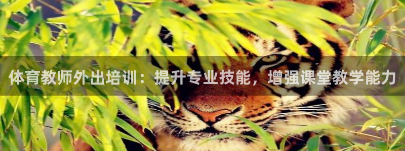焦点娱乐如何注册账号登录：体育教师外出培训：提升专业