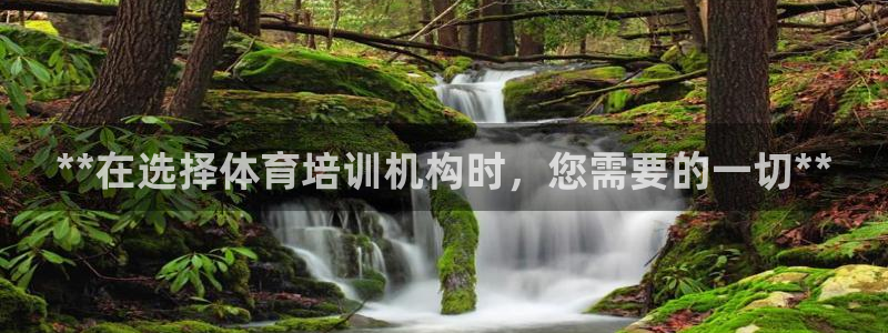 焦点娱乐平台例7O777：**在选择体育培训机构时，