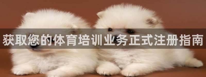 焦点娱乐app下载安装方式：获取您的体育培训业务正式