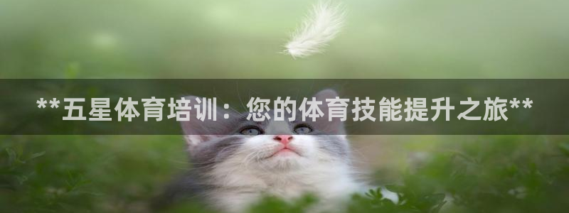 焦点娱乐平台例7O777：**五星体育培训：您的体育