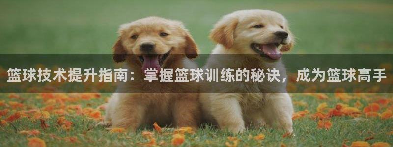 焦点娱乐公司简介：篮球技术提升指南：掌握篮球训练的秘