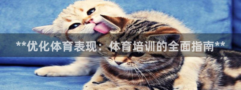 焦点娱乐不出款了吗：**优化体育表现：体育培训的全面