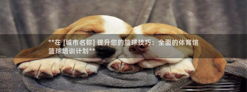 焦点娱乐股东是谁：**在 [城市名称] 提升您的篮球