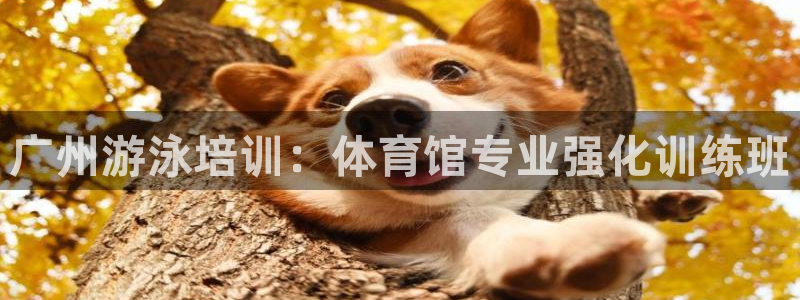 焦点娱乐营7O777：广州游泳培训：体育馆专业强化训