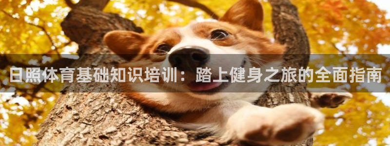 焦点娱乐官方网站下载：日照体育基础知识培训：踏上健身