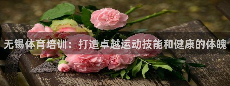 焦点娱乐vs皇族不败神话下载：无锡体育培训：打造卓越