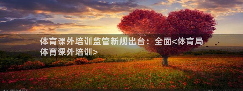 焦点娱乐app下载官网苹果手机：体育课外培训监管新规