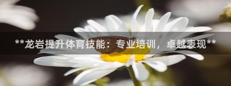焦点娱乐有限公司：**龙岩提升体育技能：专业培训，卓
