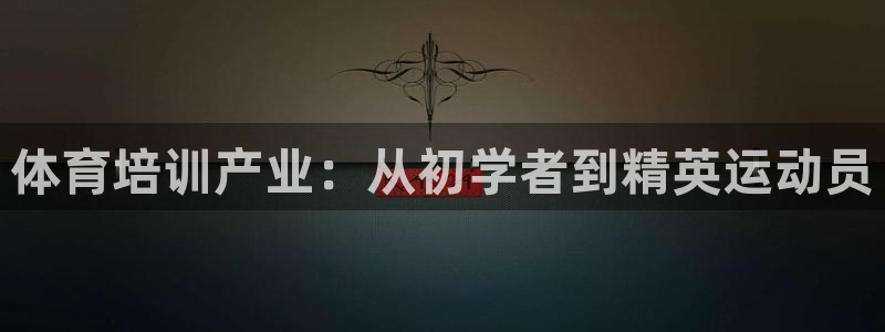 焦点娱乐公司是干嘛的：体育培训产业：从初学者到精英运