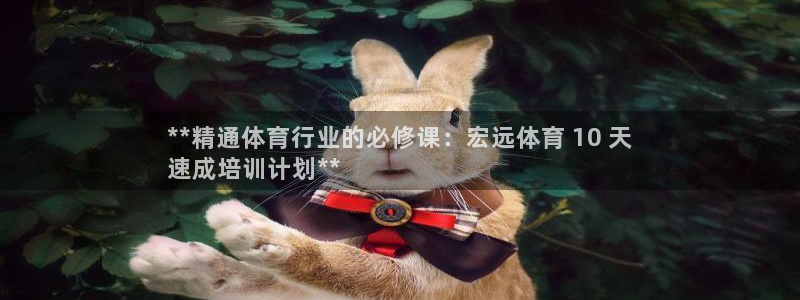 焦点娱乐游戏怎么玩教程：**精通体育行业的必修课：宏