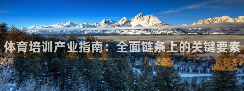 焦点娱乐总代理在哪：体育培训产业指南：全面链条上的关